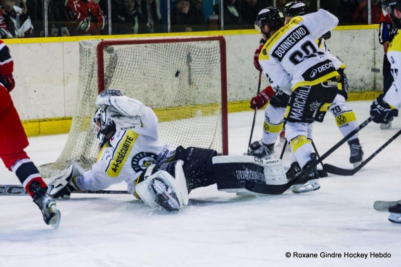 Photo hockey Division 2 - Division 2 : 15ème journée : Dijon  vs Roanne - Le rusé renard fait s
