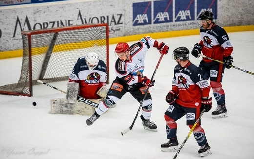 Photo hockey Division 2 - Division 2 : 16ème journée : Morzine-Avoriaz vs Vaujany - Morzine-Avoriaz chasse le Grizzly