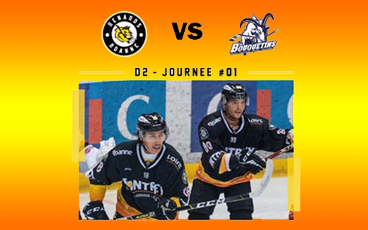 Photo hockey Division 2 - Division 2 : 1ère journée : Roanne vs Courchevel-Méribel-Pralognan - Bon début pour les Foxs