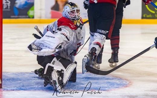 Photo hockey Division 2 - Division 2 : 5ème journée : Toulouse-Blagnac vs Annecy - Les Belougas enchaînent !