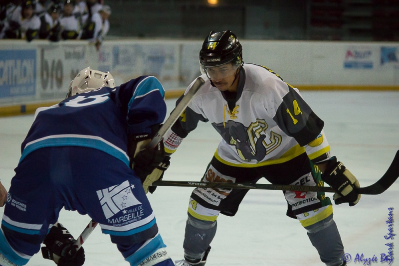 Photo hockey Division 2 - Division 2 : 7ème journée : Marseille vs Chambéry - Les Eléphants au forceps Photo hockey Division 2 - Division 2 : 7ème journée : Marseille vs Chambéry - Les Eléphants au forceps