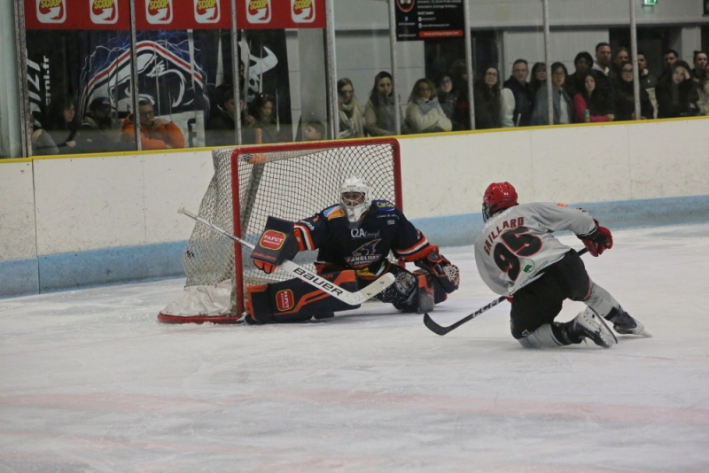 Photo hockey Division 2 - Division 2 - Grizzlys plus mûrs, Sangliers valeureux