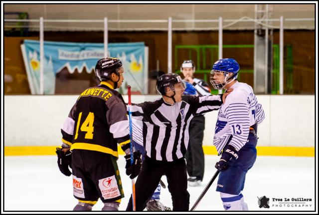 Photo hockey Division 2 - Division 2 - Play-off , huitième de finale, match retour : Chambéry vs Paris (FV) - D2 : Les Eléphants se qualifient pour les 1/4 de Finale
