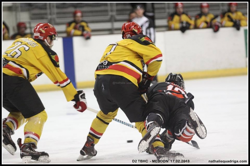Photo hockey Division 2 - Division 2 : playoff, huitième de finale, match 1 : Toulouse-Blagnac vs Meudon - Une soirée quasi-parfaite