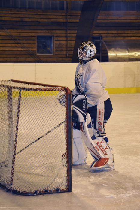 Photo hockey Division 2 - Division 2 : Roanne (Les Renards) - Présentation du Club des Hockeyeurs Roannais