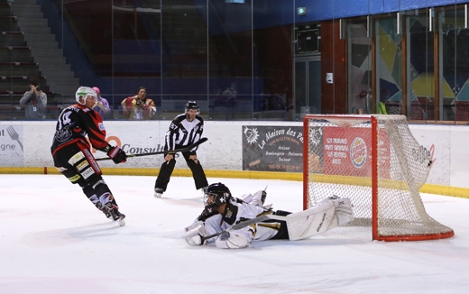 Photo hockey Division 3 - D3 - carré final - J2 : La Roche-sur-Yon vs Dammarie-les-Lys - Le vol de l