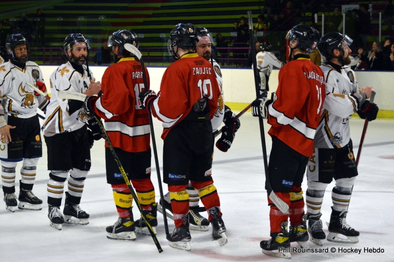 Photo hockey Division 3 - Division 3 - 1/4 de Finale - Match 2 : Besançon vs Dammarie-les-Lys - Aigles tête haute, Caribous qualifiés