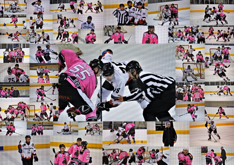 Photo hockey Division 3 - Division 3 - 18ème journée  : Rennes vs Poitiers - Poitiers s