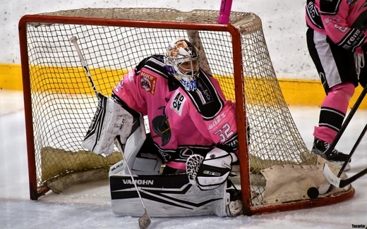 Photo hockey Division 3 - Division 3 - 22ème journée : Nantes II vs Rennes - Rennes s