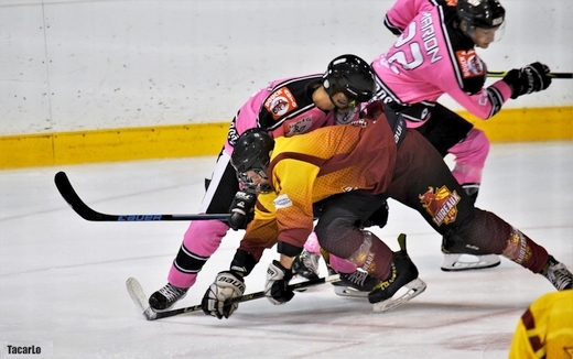 Photo hockey Division 3 - Division 3 : journée du 14 janvier 2023 (J15) : Rennes vs Limoges - Rennes s