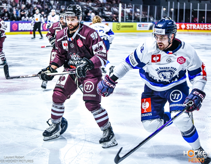 Photo hockey Europe : Continental Cup - CHL -  : Bordeaux vs Plzen - Le HC Pilsen s