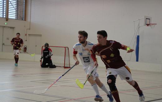 Photo hockey Floorball ARCHIVES - Floorball ARCHIVES - Floorball - D1 : des sommets dans les Alpes