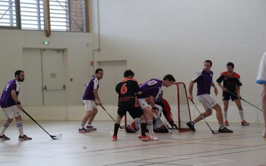 Photo hockey Floorball ARCHIVES - Floorball ARCHIVES - Floorball - D1 : des sommets dans les Alpes