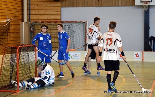 Photo hockey Floorball ARCHIVES - Floorball ARCHIVES - Floorball : Ne pas vendre la peau du Tigre