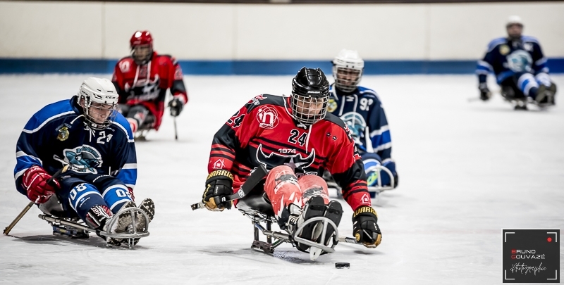 Photo hockey Hockey en France -  : Franconville vs Neuilly/Marne - Para-Hockey : Les Bisons comme des poissons dans l’eau chez les Requins