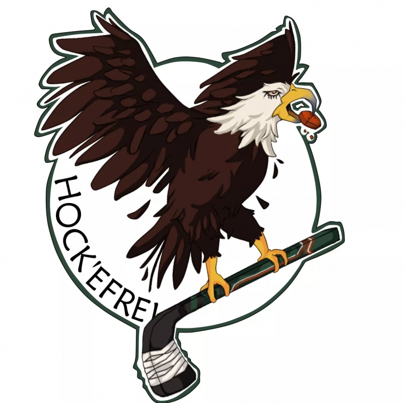 Photo hockey Hockey en France - Hockey en France - Hock\