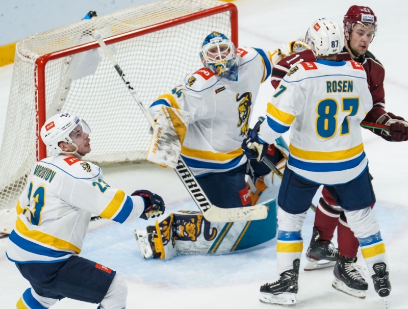 Photo hockey KHL - Kontinental Hockey League - KHL - Kontinental Hockey League - KHL : Journée des félins