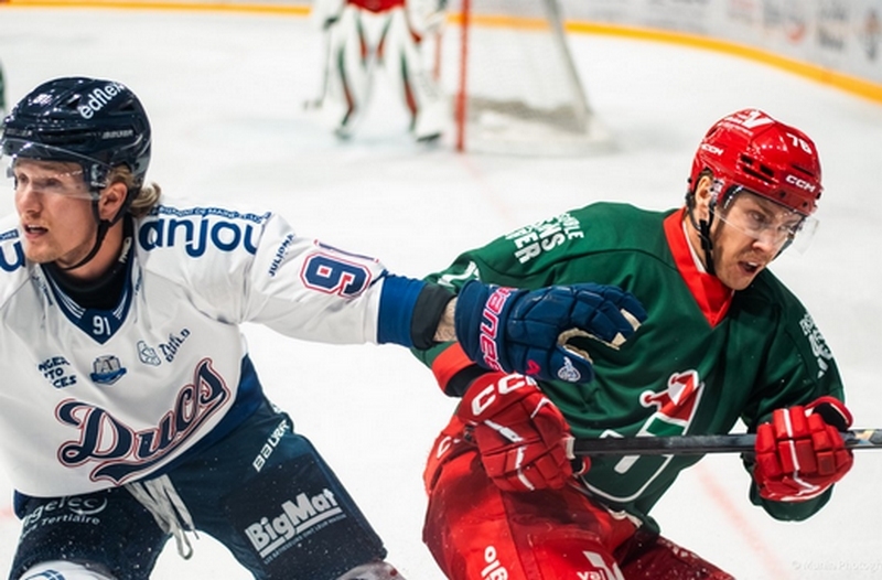 Photo hockey Ligue Magnus -  : Angers  vs Cergy-Pontoise - Cergy s