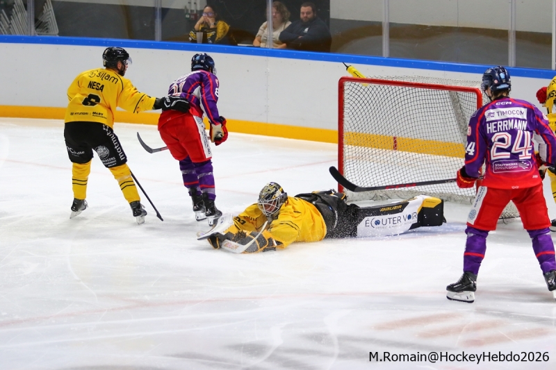 Photo hockey Ligue Magnus - : Rouen vs Düsseldorf - Les Dragons poursuivent par une victoire sur Dusseldorf Photo hockey Ligue Magnus - : Rouen vs Düsseldorf - Les Dragons poursuivent par une victoire sur Dusseldorf