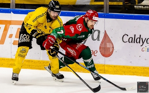 Photo hockey Ligue Magnus - Ligue Magnus  : 18ème journée : Cergy-Pontoise vs Rouen - Rouen enchaine à Cergy