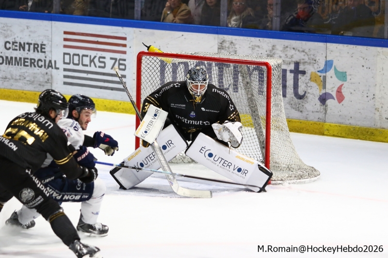 Photo hockey Ligue Magnus - Ligue Magnus  : 19ème journée : Rouen vs Angers  - Les dragons en taille patron.