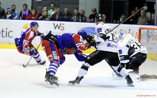 Photo hockey Ligue Magnus - Ligue Magnus : 10ème journée : Mulhouse vs Gap  - Les Rapaces se brûlent les ailes à Mulhouse