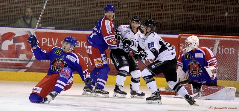 Photo hockey Ligue Magnus - Ligue Magnus : 10ème journée : Mulhouse vs Gap  - Les Rapaces se brûlent les ailes à Mulhouse