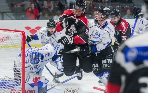 Photo hockey Ligue Magnus - Ligue Magnus : 12ème journée : Bordeaux vs Gap  - Les Rapaces tiennent leur revanche à Mériadeck ! 