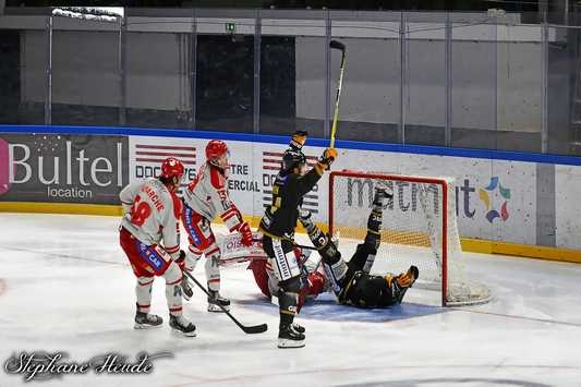 Photo hockey Ligue Magnus - Ligue Magnus : 12ème journée : Rouen vs Grenoble  - LM : Des dragons en taille patron.