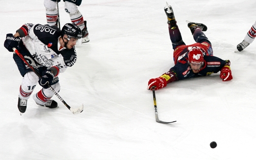 Photo hockey Ligue Magnus - Ligue Magnus : 13ème journée : Grenoble  vs Angers  - Angers fait forte impression à Pole Sud 