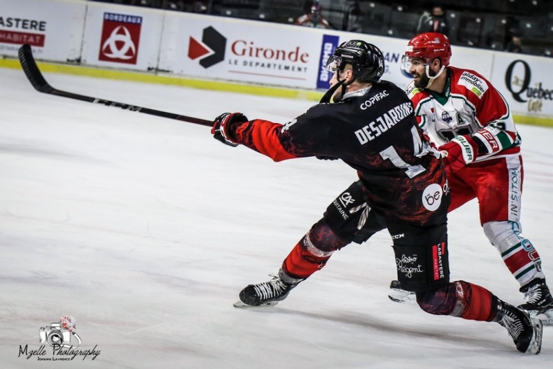Photo hockey Ligue Magnus - Ligue Magnus : 13ème journée : Bordeaux vs Anglet - LM : L\