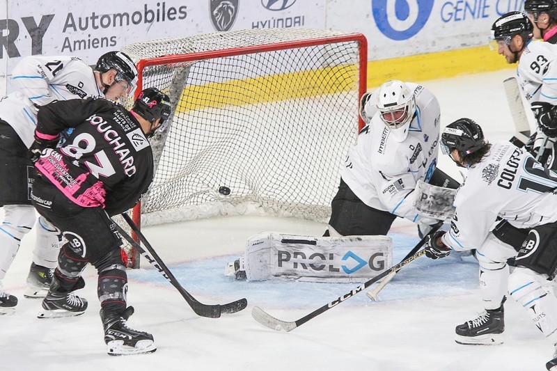 Photo hockey Ligue Magnus - Ligue Magnus : 13ème journée : Amiens vs Marseille - Amiens s Photo hockey Ligue Magnus - Ligue Magnus : 13ème journée : Amiens vs Marseille - Amiens s