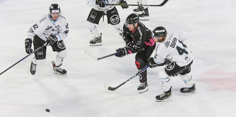 Photo hockey Ligue Magnus - Ligue Magnus : 13ème journée : Amiens vs Marseille - Amiens s Photo hockey Ligue Magnus - Ligue Magnus : 13ème journée : Amiens vs Marseille - Amiens s