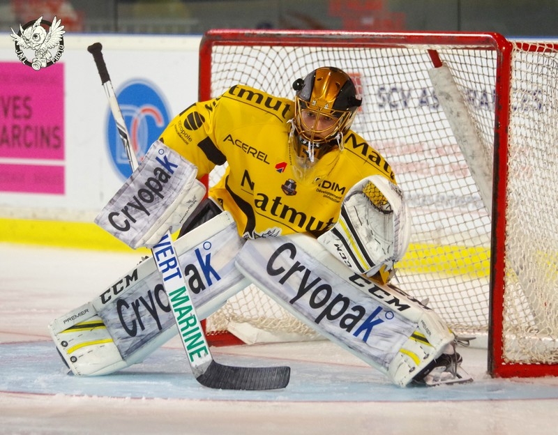 Photo hockey Ligue Magnus - Ligue Magnus : 14ème journée : Bordeaux vs Rouen - Retour gagnant des Dragons à Mériadeck