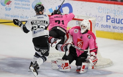 Photo hockey Ligue Magnus - Ligue Magnus : 14ème journée : Amiens  vs Gap  - Amiens vs Gap - Reportage photos