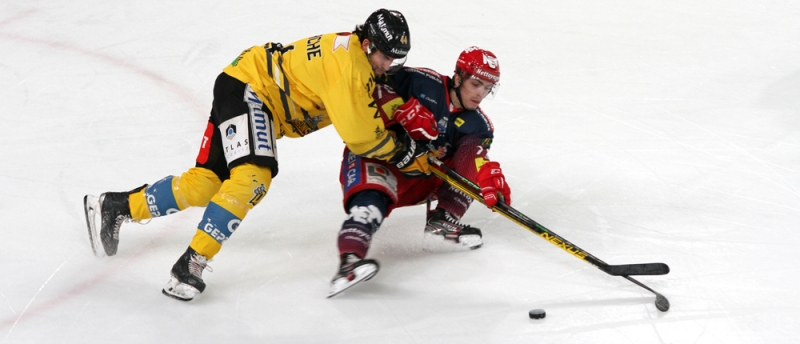 Photo hockey Ligue Magnus - Ligue Magnus : 15ème journée : Grenoble  vs Rouen - La Magnus baisse le rideau ! 