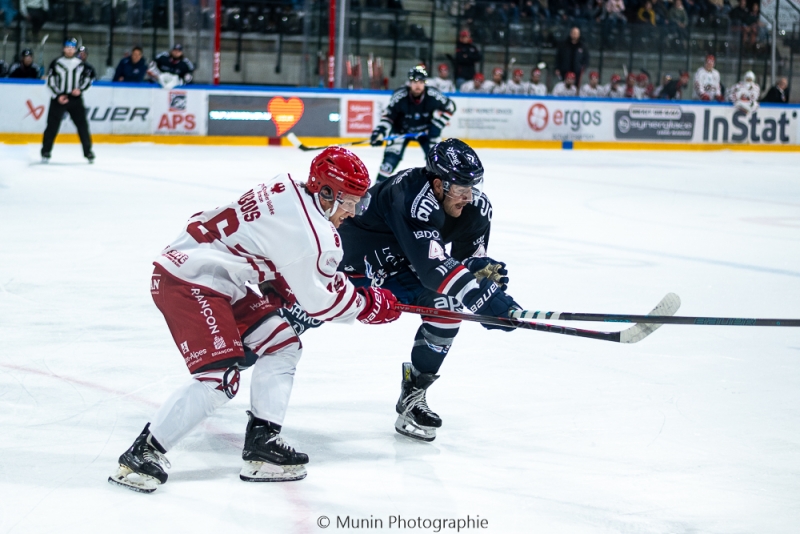 Photo hockey Ligue Magnus - Ligue Magnus : 15ème journée : Angers  vs Briançon  - Angers s