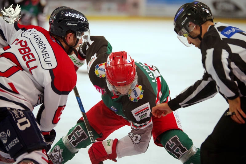 Photo hockey Ligue Magnus - Ligue Magnus : 16ème journée : Anglet vs Angers - 4 à la suite Photo hockey Ligue Magnus - Ligue Magnus : 16ème journée : Anglet vs Angers - 4 à la suite