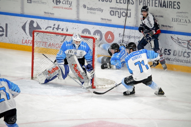 Photo hockey Ligue Magnus - Ligue Magnus : 19ème journée : Angers  vs Gap  - LM : Angers s\