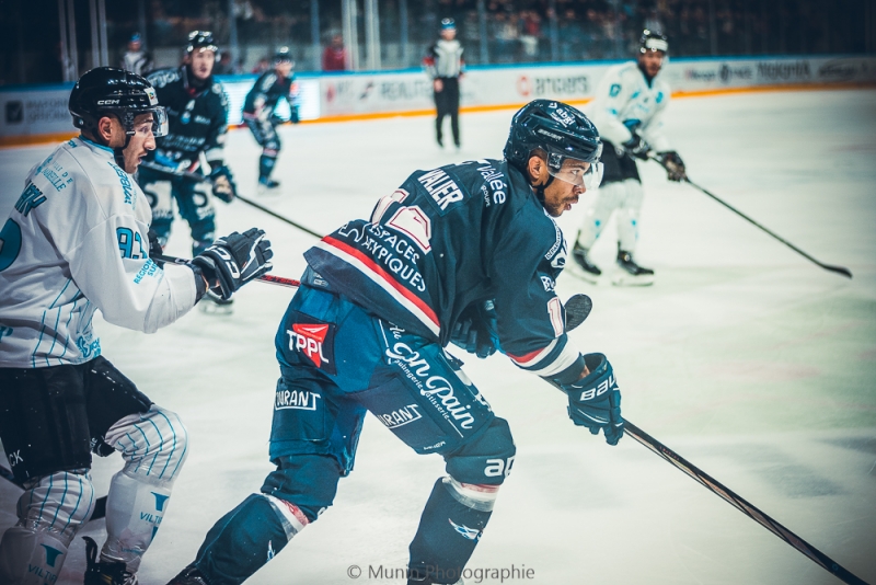 Photo hockey Ligue Magnus - Ligue Magnus : 19ème journée : Angers  vs Marseille - Victoire des Ducs vs Marseille - RESUME VIDEO + PHOTOS