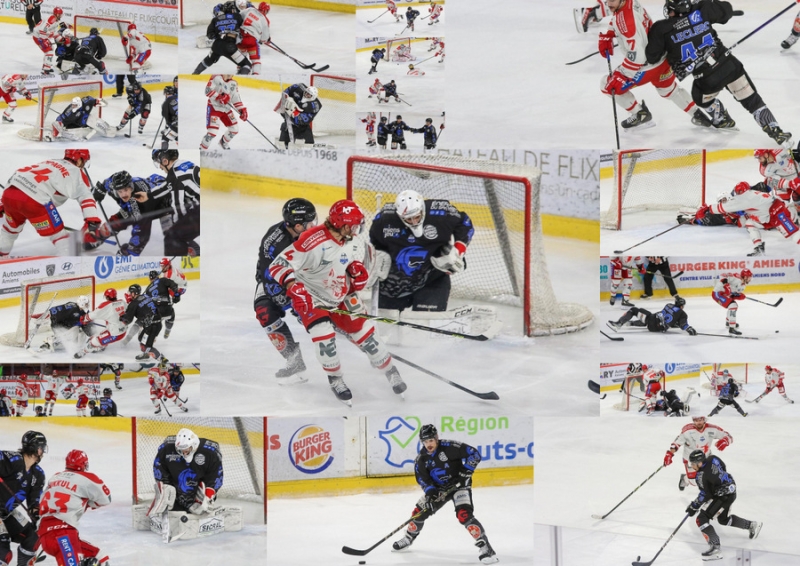 Photo hockey Ligue Magnus - Ligue Magnus : 20ème journée : Amiens  vs Grenoble  - Amiens s