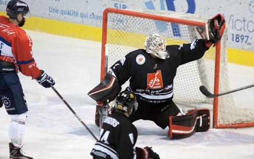 Photo hockey Ligue Magnus - Ligue Magnus : 22ème journée : Amiens vs Angers - Nouveau blanchissage pour Mitch O\ Photo hockey Ligue Magnus - Ligue Magnus : 22ème journée : Amiens vs Angers - Nouveau blanchissage pour Mitch O\