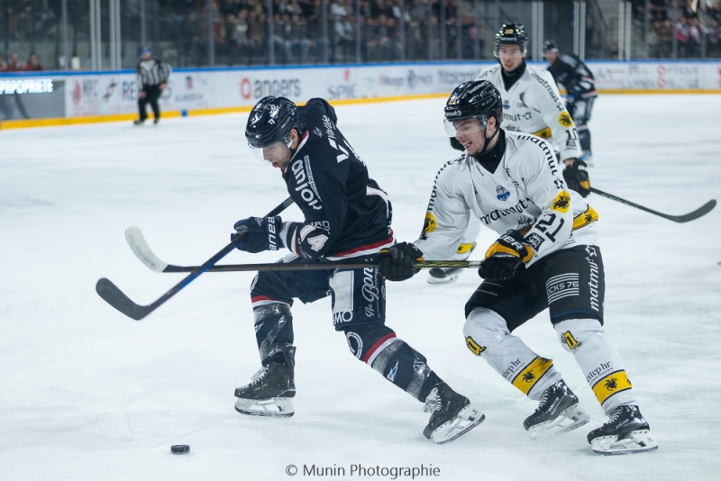 Photo hockey Ligue Magnus - Ligue Magnus : 22ème journée : Angers  vs Rouen - Angers concéde sa première défaite à domicile !