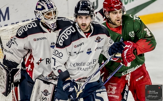 Photo hockey Ligue Magnus - Ligue Magnus : 24ème journée : Cergy-Pontoise vs Angers  - Les Ducs ne s’arrêtent plus !