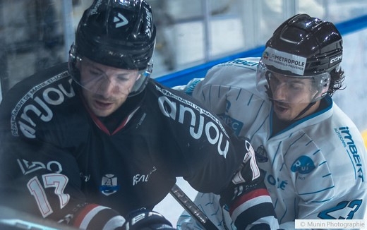 Photo hockey Ligue Magnus - Ligue Magnus : 25ème journée : Angers  vs Marseille - Angers s