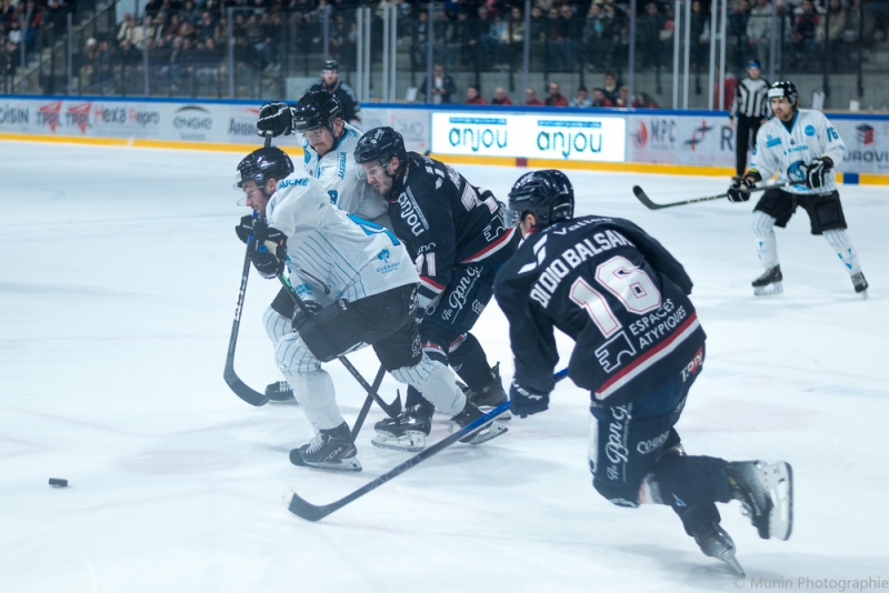 Photo hockey Ligue Magnus - Ligue Magnus : 25ème journée : Angers  vs Marseille - Angers s