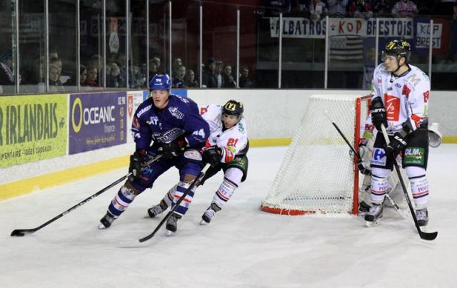 Photo hockey Ligue Magnus - Ligue Magnus : 25ème journée : Brest  vs Amiens  - Les Albatros n\