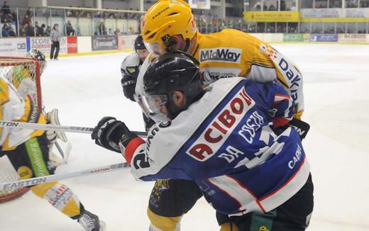 Photo hockey Ligue Magnus - Ligue Magnus : 26ème journée  : Caen  vs Strasbourg  - Caen prêt pour les Play-Downs