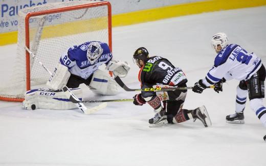 Photo hockey Ligue Magnus - Ligue Magnus : 26ème journée : Amiens  vs Gap  - Gap, champion en terre picarde