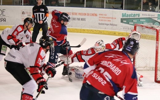 Photo hockey Ligue Magnus - Ligue Magnus : 28ème journée : Angers  vs Amiens  - Angers vs Amiens - Reportages Photos